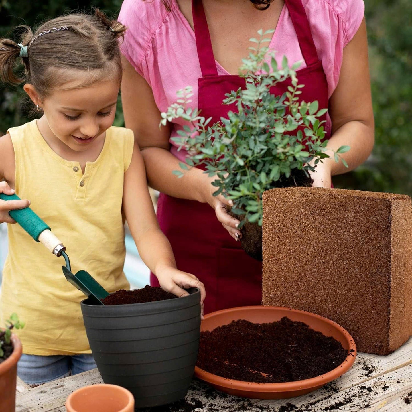 Your Plants Deserve Better Soil.